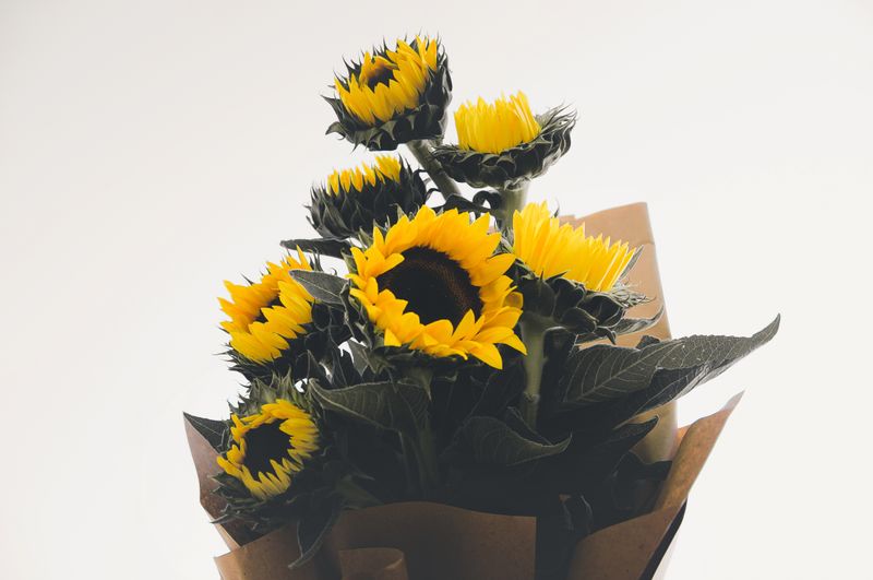 Bouquet soleil tournesols et mimosa interflora