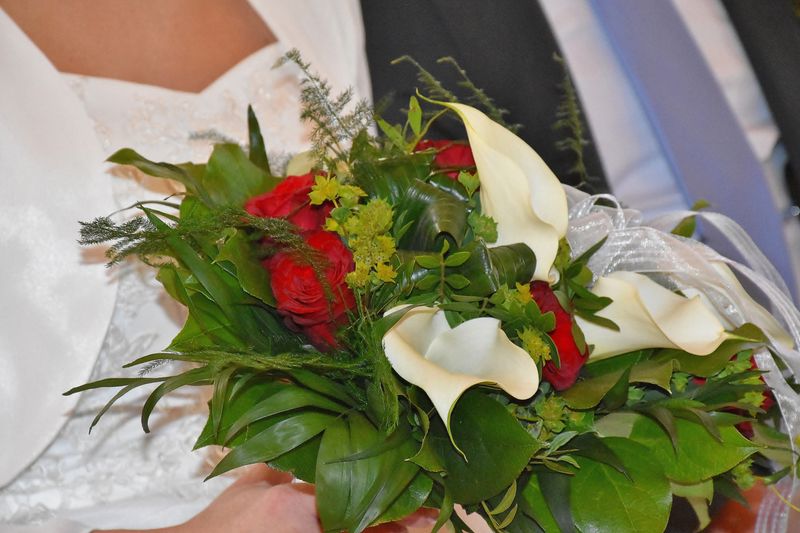 Bouquet de roses rouges interflora livraison France